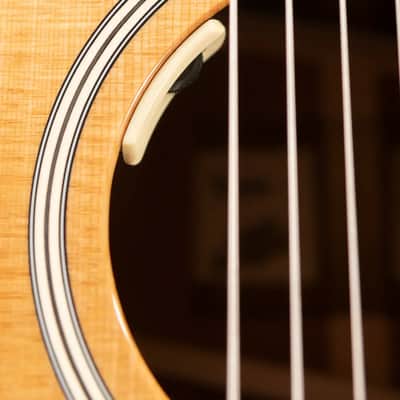Taylor Trey Hensley Signature Gold Label 510e Special Edition Dreadnought Acoustic/Electric Guitar with Hardshell Case image 9