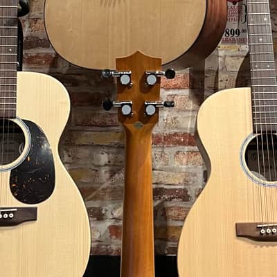 Twisted Wood EM600C with Pickup image 8