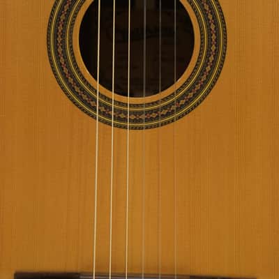 Batiksoul Guitar No.#119 - Classic Guitar 2024 image 5