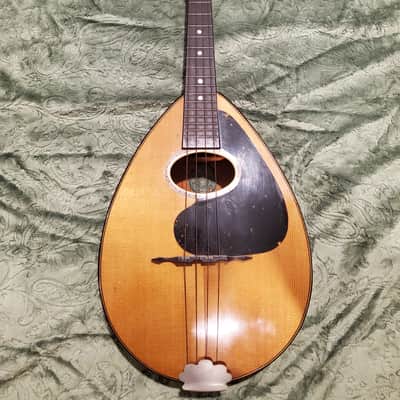 1920's Weymann Mandolute image 20