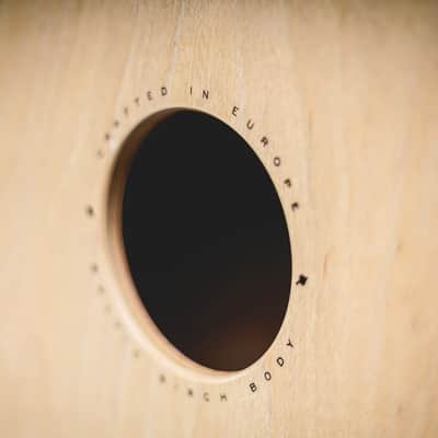 Meinl   Sc100 Grb image 4