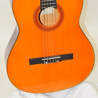 D. Catala Guitarras GO-50 Classical Acoustic Guitar w/ Hardshell Case image 3