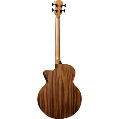 Lag HV10BCE | Acoustic / Electric Smart Bass with Bag. New with Full Warranty! image 5