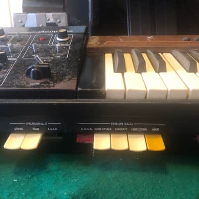 Immagine Roland SH-1000 1973 - Non functioning - 6