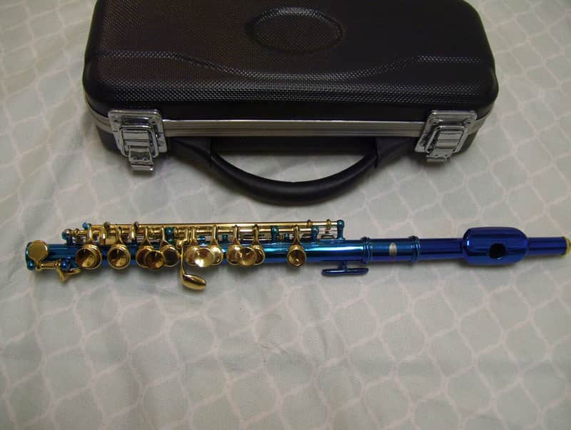 Blue  Piccolo with Case image 1