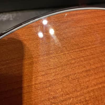 Breedlove Premier Concerto Ce Re w/case image 5