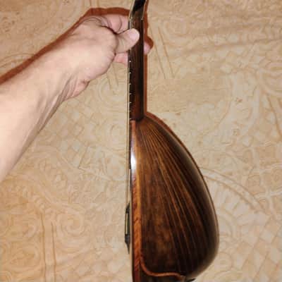 Vinaccia Bowlback 1907 or 1909 - Beautiful Wood image 15
