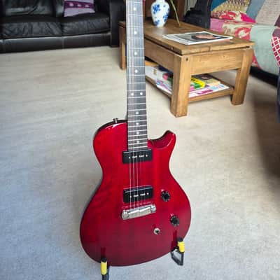 PRS SE SOAPBAR electric guitars for sale in USA | guitar-list