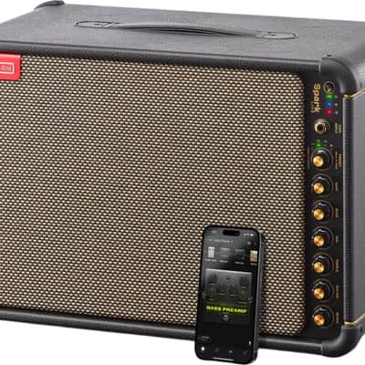 Positive Grid Spark LIVE Guitar Combo Amplifier and 4-Channel PA System, 150W, Black image 6