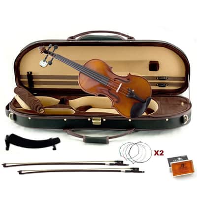 Sky Artist 500 Series 4/4 Concert Violin, Case and Accessory Package image 1