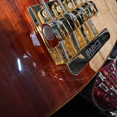 Cort Jeff Berlin Rithimic Bass w GATOR CASE Alder/Spalted Maple-Padouk Top Bartolini pickups image 16