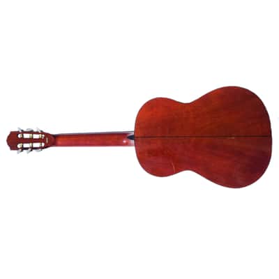 FENDER - SIGNED BY WILLIE NELSON - The David Leach Collection image 4