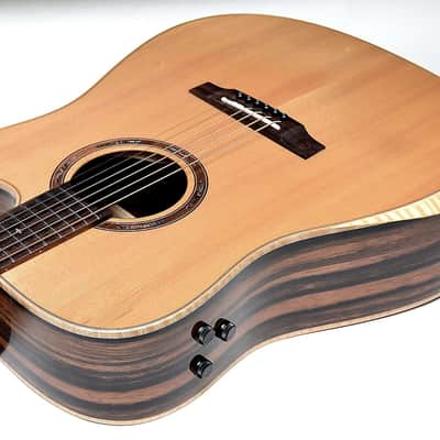 Teton STS180CENT-AR Dreadnought, Solid Spruce Top, ebony back & sides, armrest, Fishman Flex Electro image 3