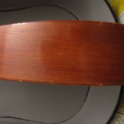 Penn by The United Guitar Company A Style Mandolin image 13