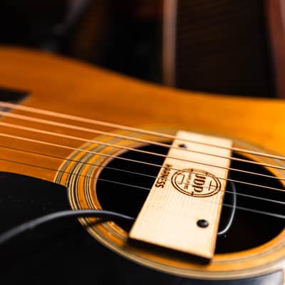 Harness Guitar by JDP Amplifiers Bild 8