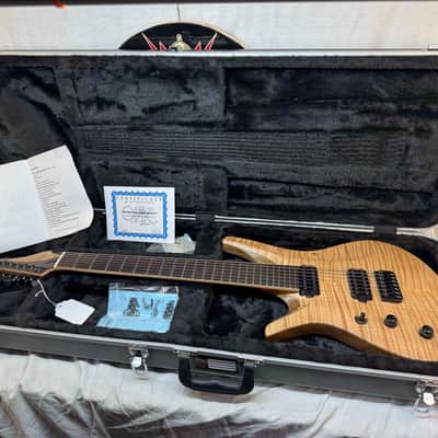 ViK Guitars Left-Handed Lefty Nolly's Signature Duality 7 7-string Guitar with Case 2014 image 1