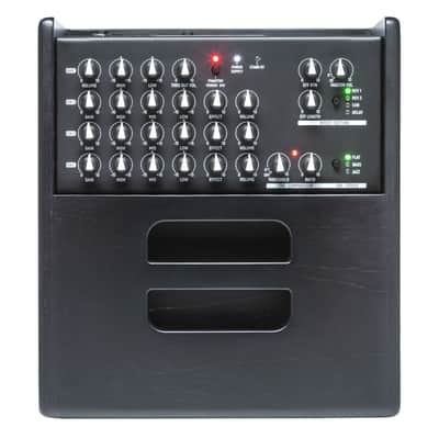 Acus OneForstrings 5 Ferdi Blackwood - Acoustic Guitar Amp image 3