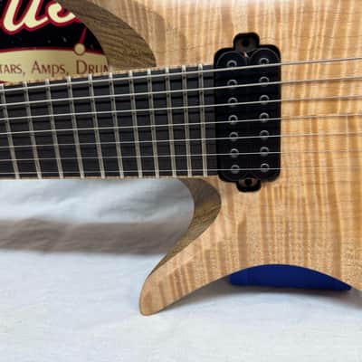 ViK Guitars Left-Handed Lefty Nolly's Signature Duality 7 7-string Guitar with Case 2014 image 6