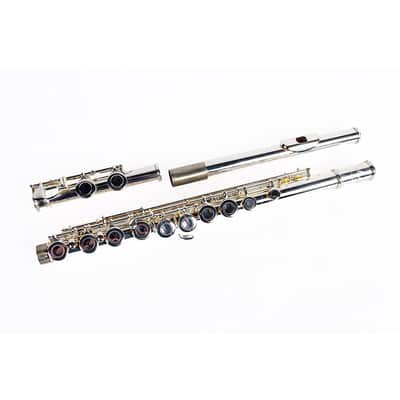 Prelude by Conn-Selmer PFL111E Flute Outfit with Split E, Closed Hole Regular Offset G C-Foot image 2