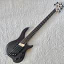Dingwall ABZ 5 - Matte Trans Black
