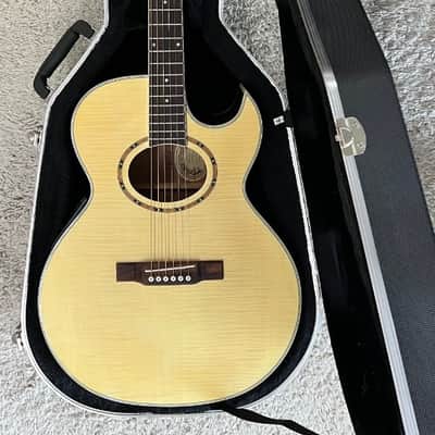 Washburn EA9F Festival Series Acoustic Electric Guitar w/Hardshell Case-Natural image 1