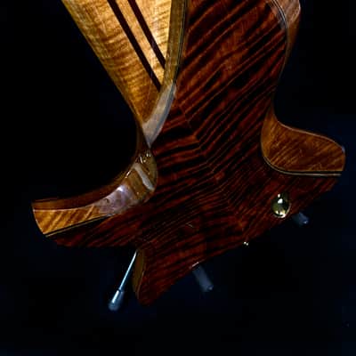 Bezard Guitars Famine 5 String Fretless, Custom Shop, Single Cut Boutique Bass image 23