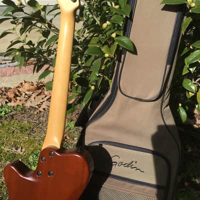 Godin Exit 22 S USA / Canada Mahogany Electric Guitar W/Bag image 9