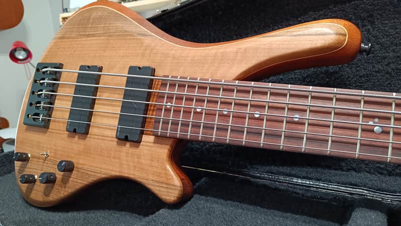 Corpus Buddy Bass 5 Strings - Lodato Guitars Handcrafted image 1