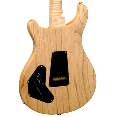 PRS Wood Library DGT Electric Guitar with Bird Inlays - Red Tiger image 6