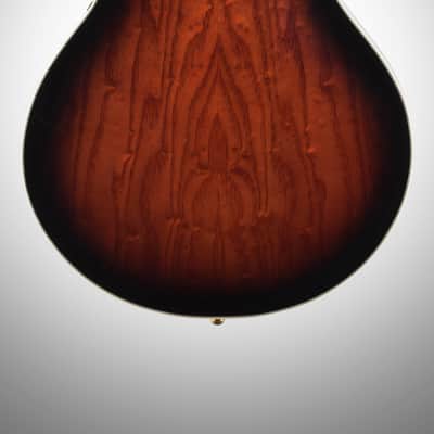 Ibanez Artcore Expressionist AG95QA Hollowbody Electric Guitar, Dark Brown Sunburst image 7