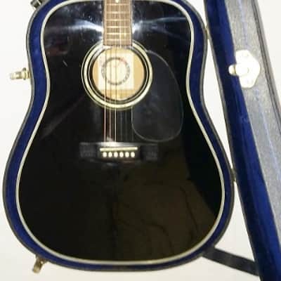 Alvarez 5019 AV Midnight special electric/ acoustic with Nice Hard Case image 1