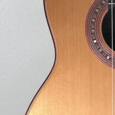 SAERS M900 Cocobolo 2025 - French polish image 4