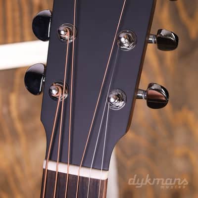 Eastman PCH2-OM Natural image 11