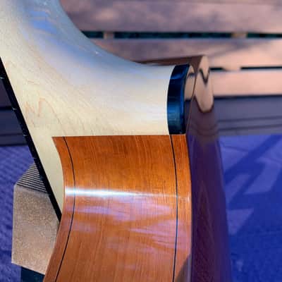 Erich Solomon Phidelity (Phinesse) 2012 16" Handmade Acoustic Archtop image 14
