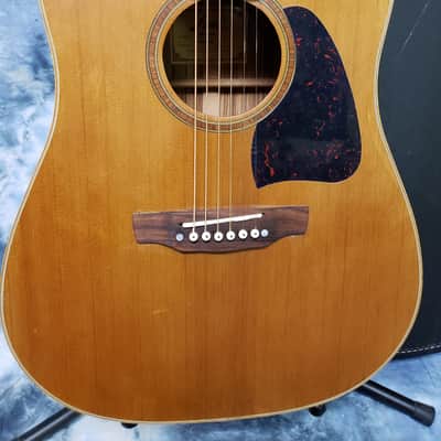 2011 Fina Model FAW-1216M Dreadnought Exotic Woods Pro Setup Original Soft Shell Case image 2
