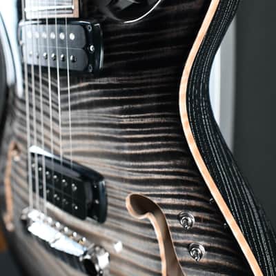 PRS Private Stock 30th Anniversary "Birds of a Feather" Hollowbody I #179 image 16