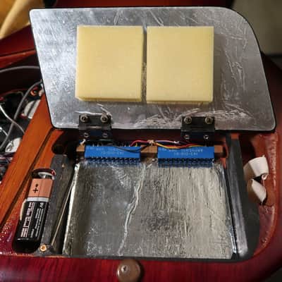 Electra X-120 MPC Leslie West Model • West's Production Prototype from Product Manager's Collection image 15