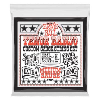 Ernie Ball 2303 Banjo Tenore Medium Loop End Stainless Steel image 1
