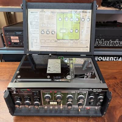 Roland RE-301 Chorus Space Echo, Rock and Roll Case! Serviced, options image 1