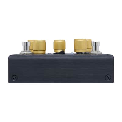 Pigtronix Philosopher's Tone 2 image 5