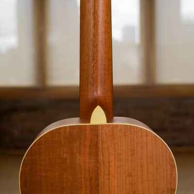 Lyon & Healy Lakeside Parlor - Cherry #002 image 21
