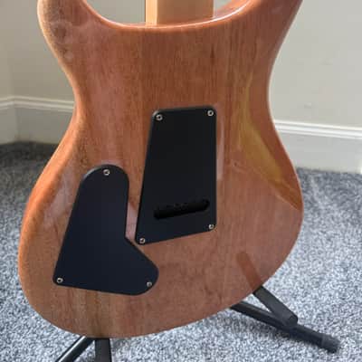 PRS SE Custom 24-08 2021 - 2023 - Eriza Verde image 3
