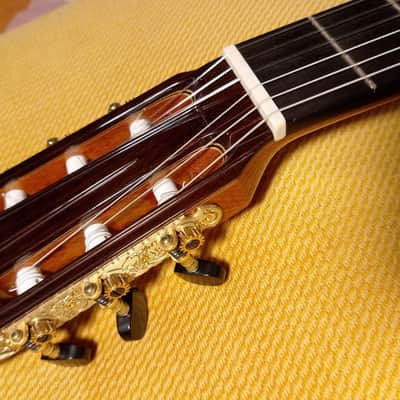2020 Cordoba (Luthier Select Friederich) Classical Guitar image 6