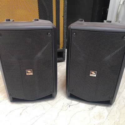 Proel Flash 8A V2 Double speaker - 600 watt each one image 1