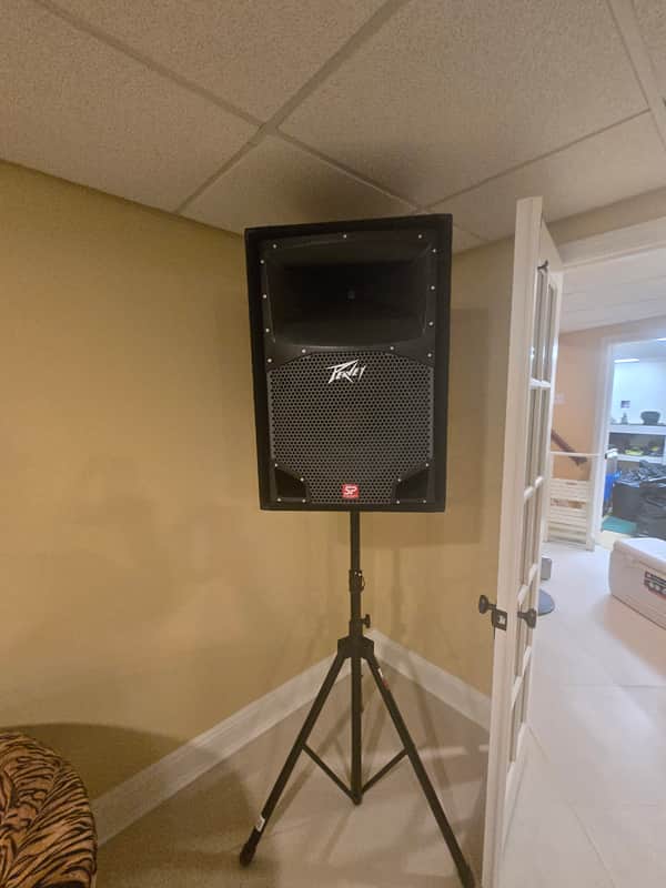 Peavey SP2 Widow 2000's - Black image 1