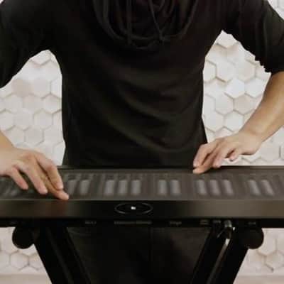 Roli Seaboard Grand Stage expo image 6