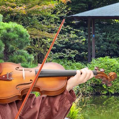 🎅🎄 For Pros and Beginners! Natural Finish Spruce Violin +Case/Bag +Bow +Wax image 13