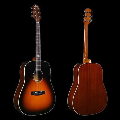 WINZZ AFM16-SD Slope Shoulder Dreadnought Solid Sitka Spruce Acoustic Guitar with Reinforced Carbon Fiber Neck image 20
