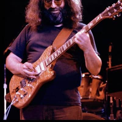 Phred Wolph (Jerry Garcia Irwin Wolf Tribute) 2010-2012 Natural image 8