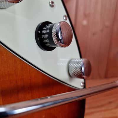 James Tyler Line 6 Variax JTV-69 2012 - 3 - Tone Sunburst image 8